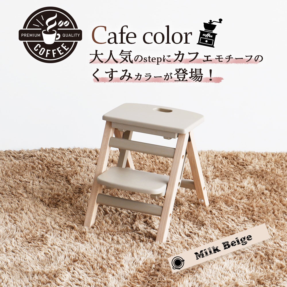 KidsFoldingStep-carrie-ILS-3551