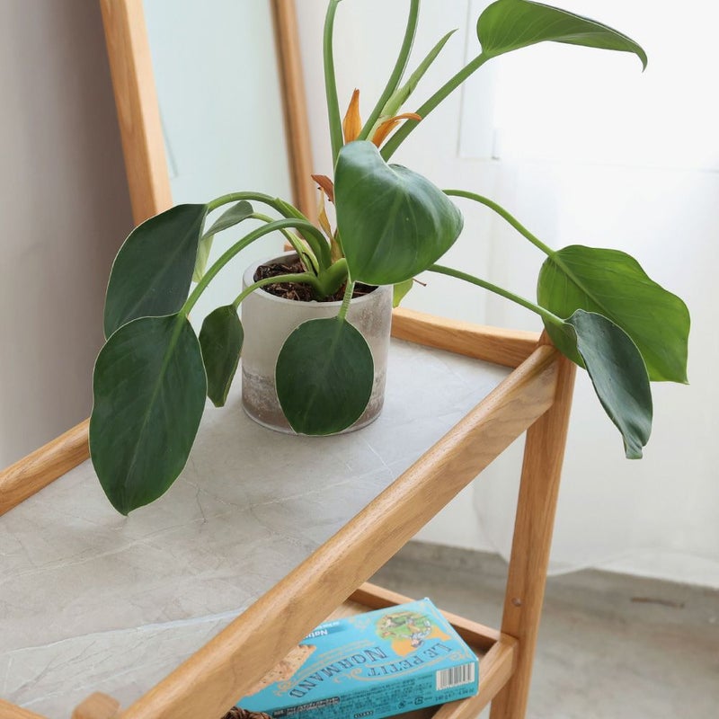 北欧テイストのワゴン