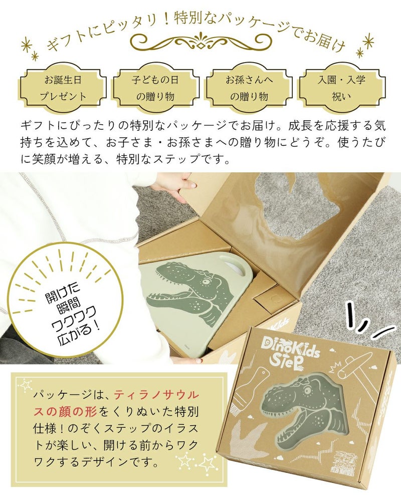 恐竜イラスト入りキッズステップ